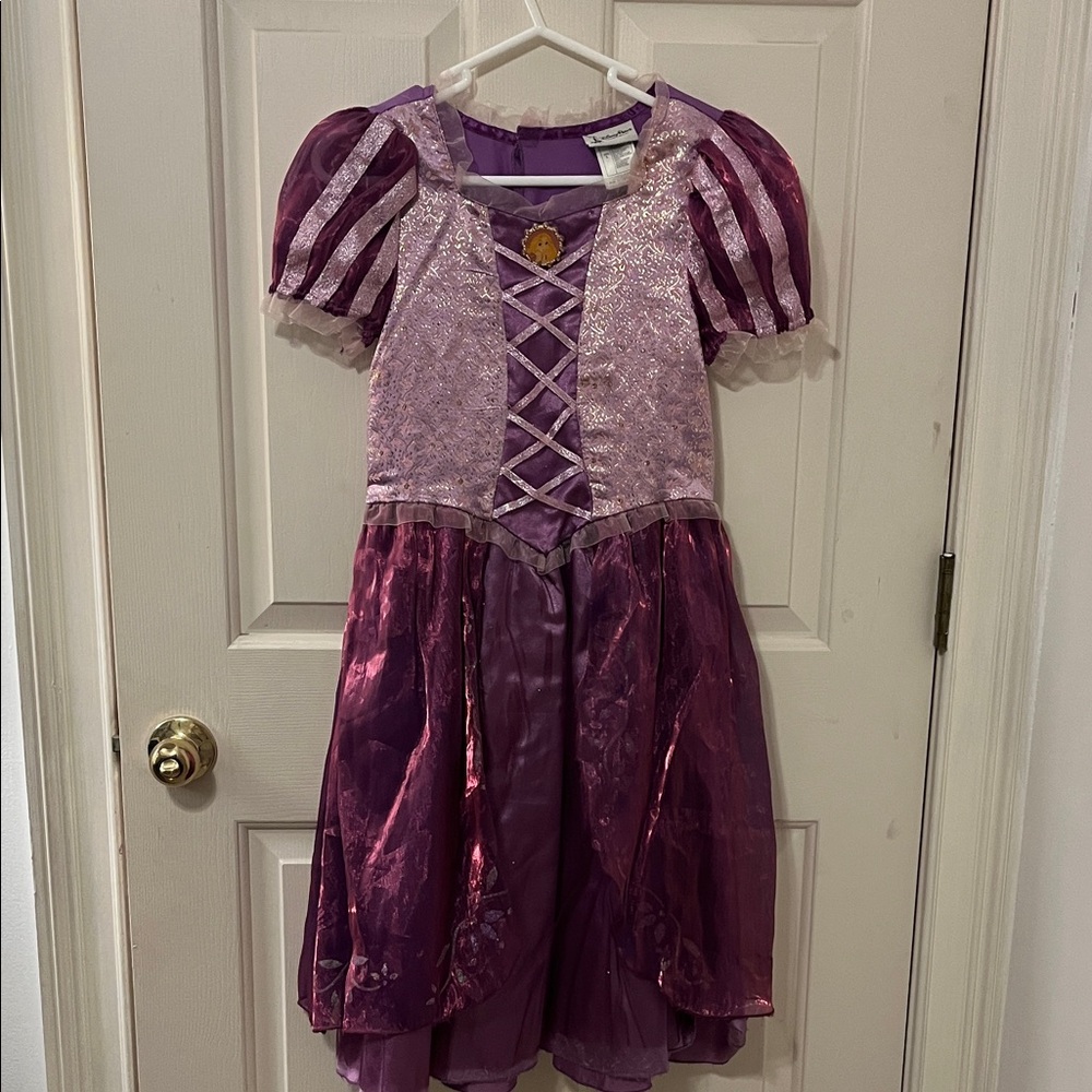 Disney’s Rapunzel Purple and Pink Princess Costume